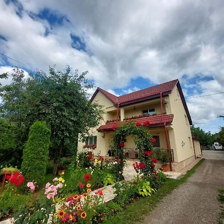 Hotel Steaua Nordului Targu Neamt Exterior foto