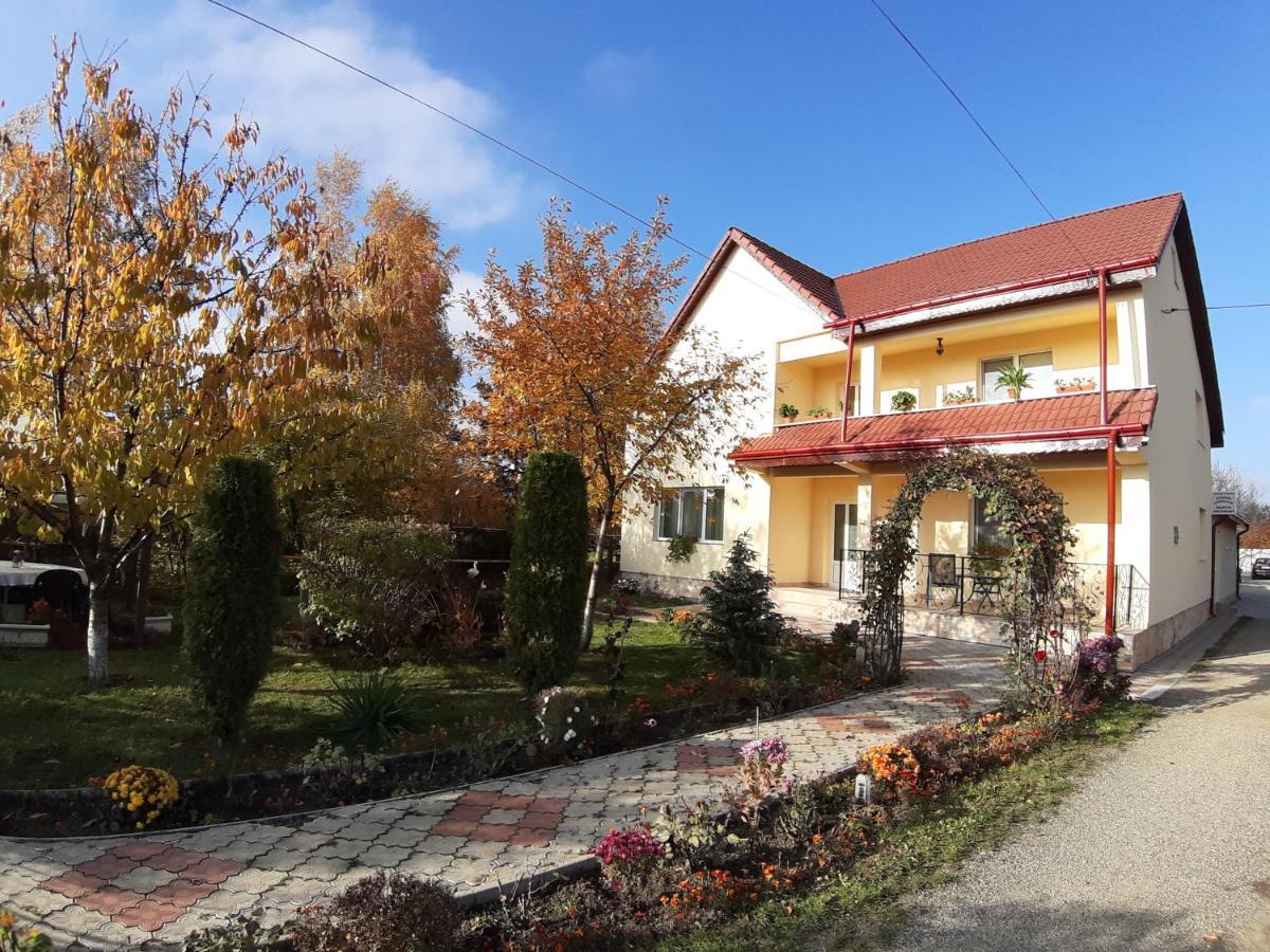 Hotel Steaua Nordului Targu Neamt Exterior foto